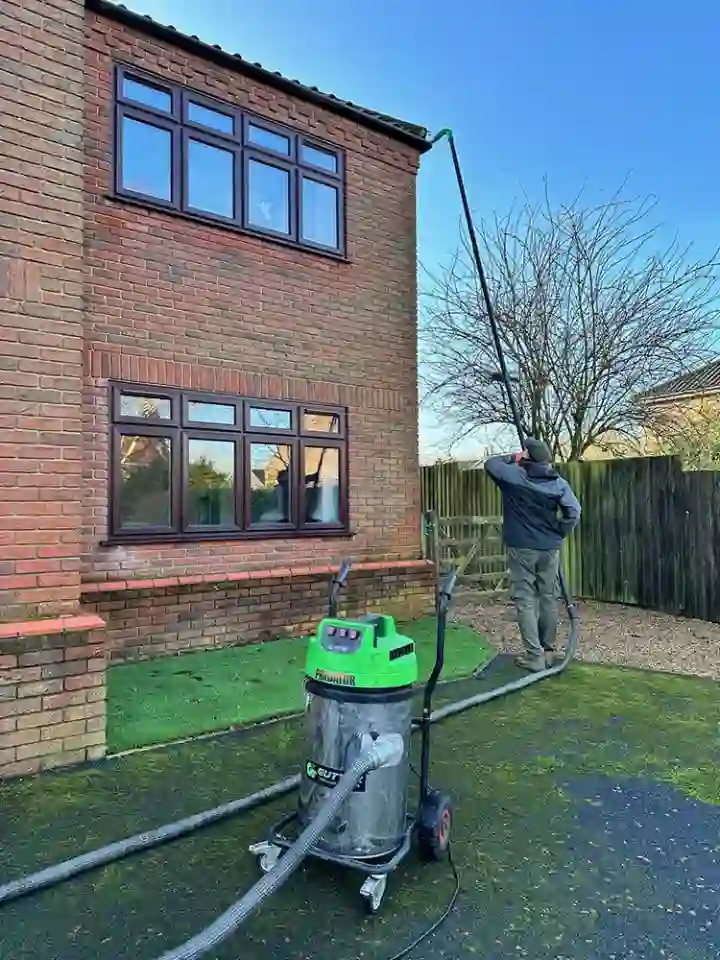 Gutter Cleaning