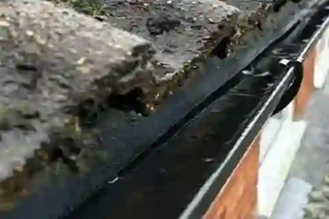 Gutter Cleaning